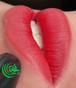 Giá phun môi ở Phun Xăm Tâm Lê