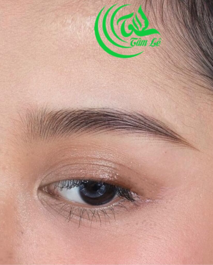 Dáng điêu khắc chân mày cong lá liễu