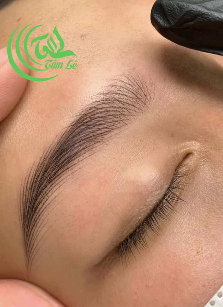 Phun sợi chân mày hairtrocke