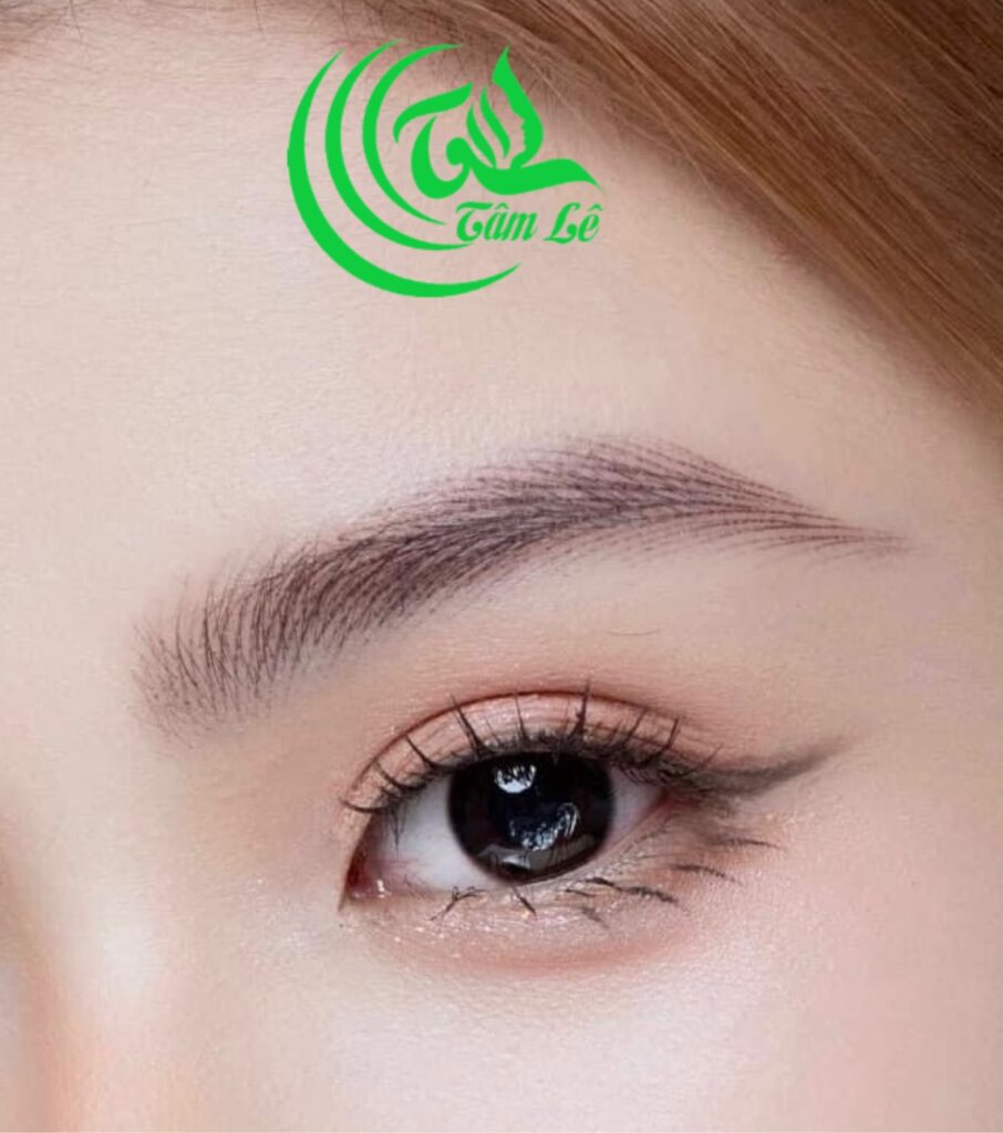 Chân mày 3D ở spa tâm lê